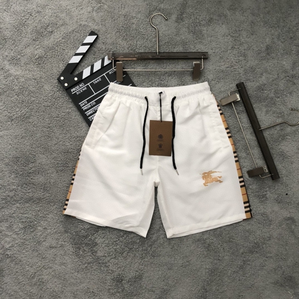 ブランドハーフパンツ背面デザイン